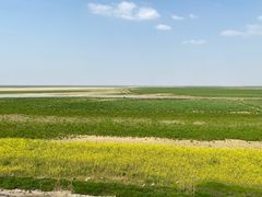 -湖南东洞庭湖国家级自然保护区