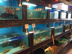 水产区-王庄阿咪海鲜大排档(象园店)
