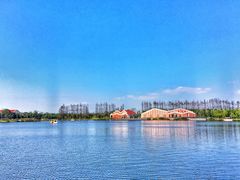 景点-上海长兴岛郊野公园