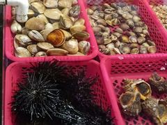-板桥海鲜广场(文明东店)