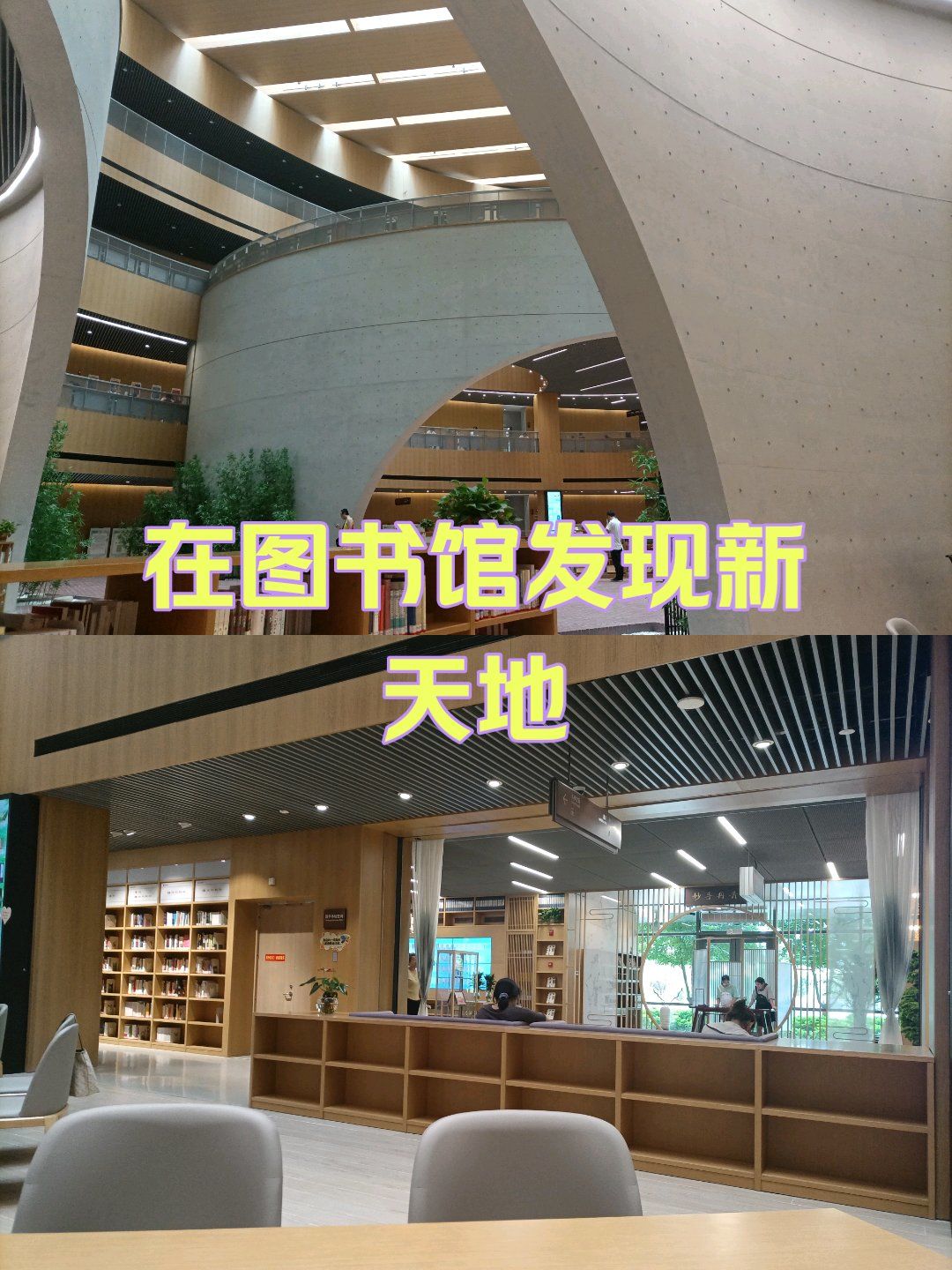 在图书馆发现新天地