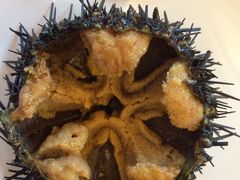 -渔公码头·九龙湾国际饭店