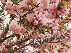 -长安大学(北校区)