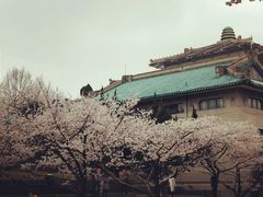 -武汉大学图书馆·文理学部总馆