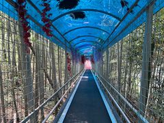 -石燕湖生态旅游景区