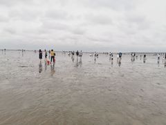 -南汇嘴观海公园