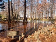 -西溪国家湿地公园