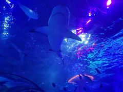 -沈阳海洋探索中心