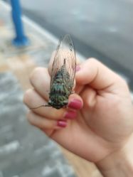 -菜菜美甲美睫皮肤管理