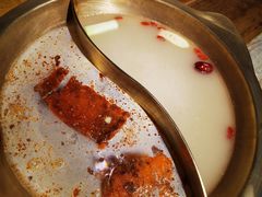 -房子红了鱼豆花重庆老火锅(广厦学院店)