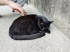 -西园寺