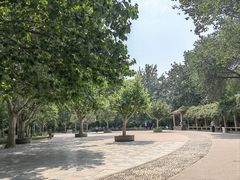 -丰台科技园生态主题公园