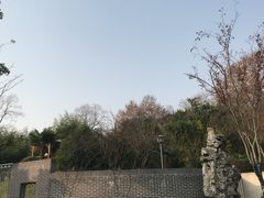-菊花台公园