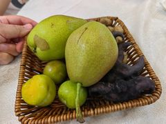 -津津名菜馆(绝没分店)