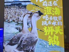-陆记鹅庄·潮汕菜·狮头鹅(大仟里店)