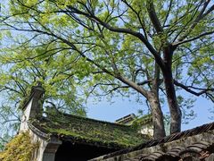 -惠山古镇·寄畅园