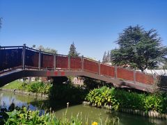 -上海长兴岛郊野公园