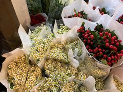 -三圣花乡旅游区