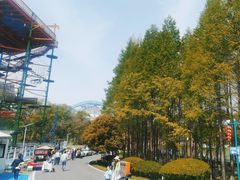 -金陵矩阵(聚宝山公园店)