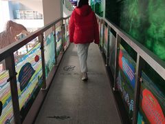 -中国第四纪冰川遗迹陈列馆
