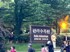 -汉拿树木园