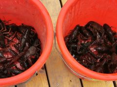 -梁鸿国家湿地公园