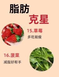-Fundi张玉珊修身堂·indiba·BTL科技瘦身