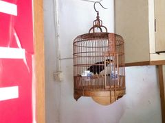 -舒蔡记生煎菜饭(云南中路店)