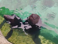 -珠海长隆海洋王国