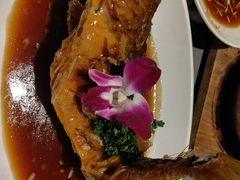 -晓淮山·扬州早茶·淮扬菜(龙阳广场店)