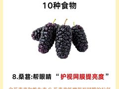-上海大学附属上海和平眼科医院