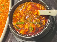 -陈麻婆豆腐总店