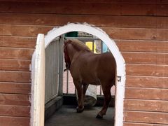 -蓝地时尚庄园(北京清河营地铁站店)