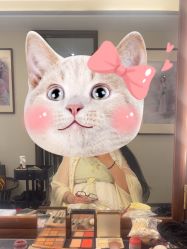 -爱儿美儿童摄影(五路居花园别墅店)