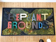 -Elephant Grounds(STARSTREET)