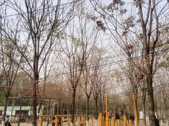 -草根堂农场