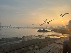 -星海广场