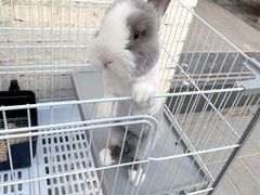-小意思咖啡店(草桥店)