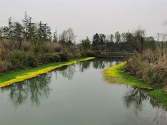 -桤木河湿地公园