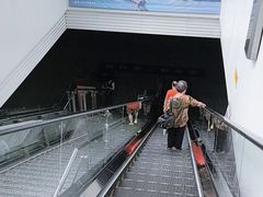 -温州南站