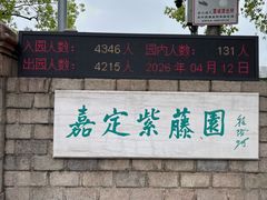 -嘉定紫藤园