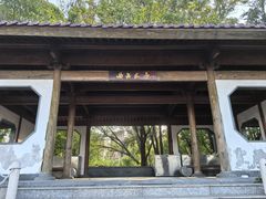 -塘沽森林公园