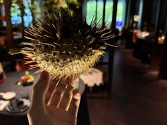 -肆月河豚·淮扬菜·湘菜(华天店)