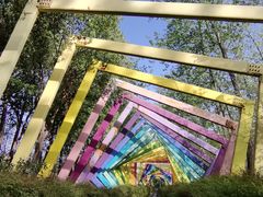 -合肥滨湖国家森林公园