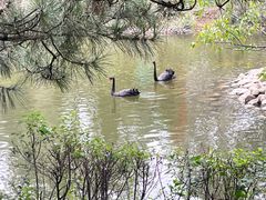 -长白岛森林公园