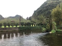 -靖西鹅泉风景区