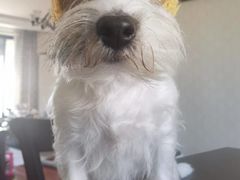 -长顺河豚馆(江洲东路)