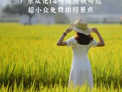 -艾米稻香小镇