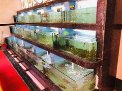 水产区-旺达·福州菜(正大广场店)
