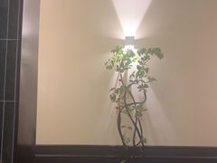 -涟LIAN·泰式按摩·MASSAGE·SPA(深业上城店)
